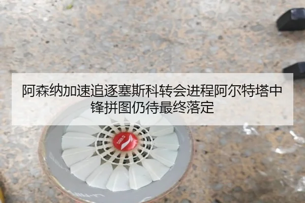 a-sen-na-jia-su-zhui-zhu-sai-si-ke-zhuan-hui-jin-cheng-a-er-te-ta-zhong-feng-pin-tu-reng-dai-zui-zhong-luo-ding-2-333.jpg